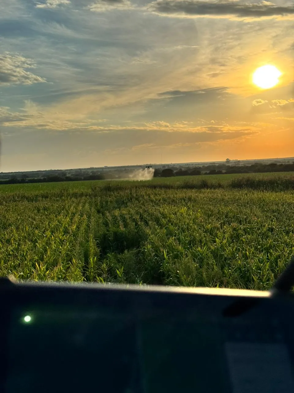 Drone pulverizando cultivos