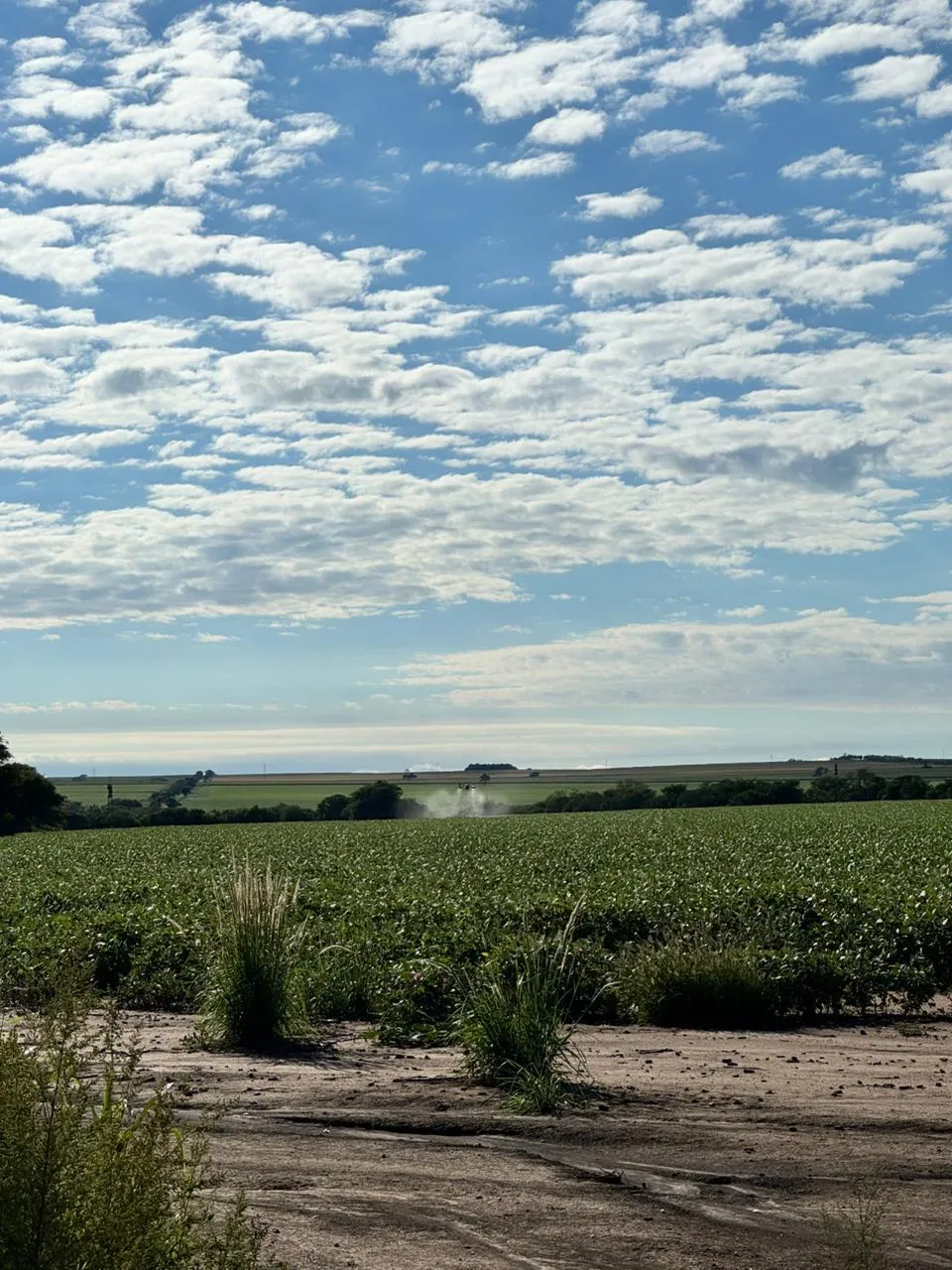 Campo extenso con operación de drone