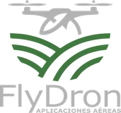 FlyDron